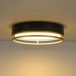Black Gold Metal Round Dimmable LED Flush Mount Light 5CCT