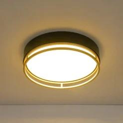 Black Gold Metal Round Dimmable LED Flush Mount Light 5CCT
