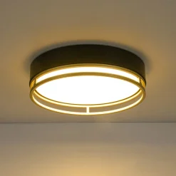 Black Gold Metal Round Dimmable LED Flush Mount Light 5CCT