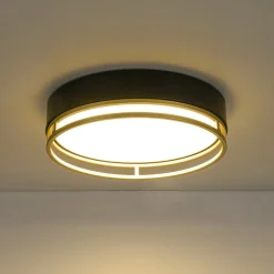 Black Gold Metal Round Dimmable LED Flush Mount Light 5CCT