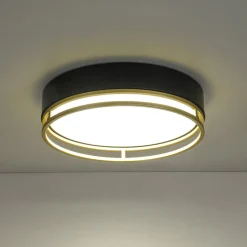 Black Gold Metal Round Dimmable LED Flush Mount Light 5CCT