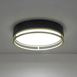 Black Gold Metal Round Dimmable LED Flush Mount Light 5CCT