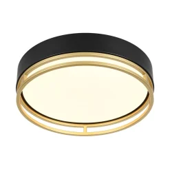 Black Gold Metal Round Dimmable LED Flush Mount Light 5CCT