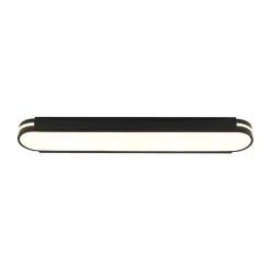Black Minimalist Oval Dimmable LED Flush Mount Light