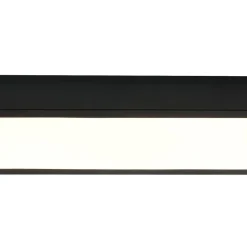Black Minimalist Oval Dimmable LED Flush Mount Light