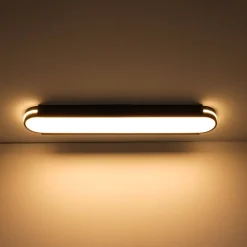 Black Minimalist Oval Dimmable LED Flush Mount Light