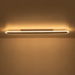 Contemporary Long Oval Warm Dimmable LED Ceiling Light