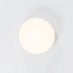 Contemporary Wood Round Dimmable LED Ceiling Light