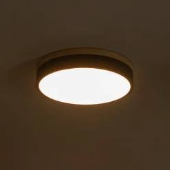 Contemporary Wood Round Dimmable LED Ceiling Light