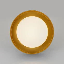 Dimmable LED Black Iron Milky Glass Round Drum Ceiling Light