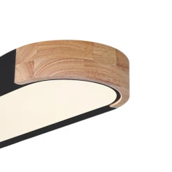 Dimmable Minimalist Long Oval Flush Mount LED Light
