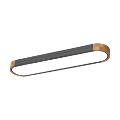Dimmable Minimalist Long Oval Flush Mount LED Light