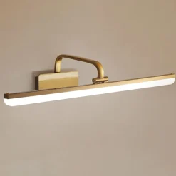 1-Light Brass Linear LED Vanity Light Picture Sconce