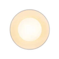 1-Light Ceramic Dome Frosted Shade Semi Flush Mount