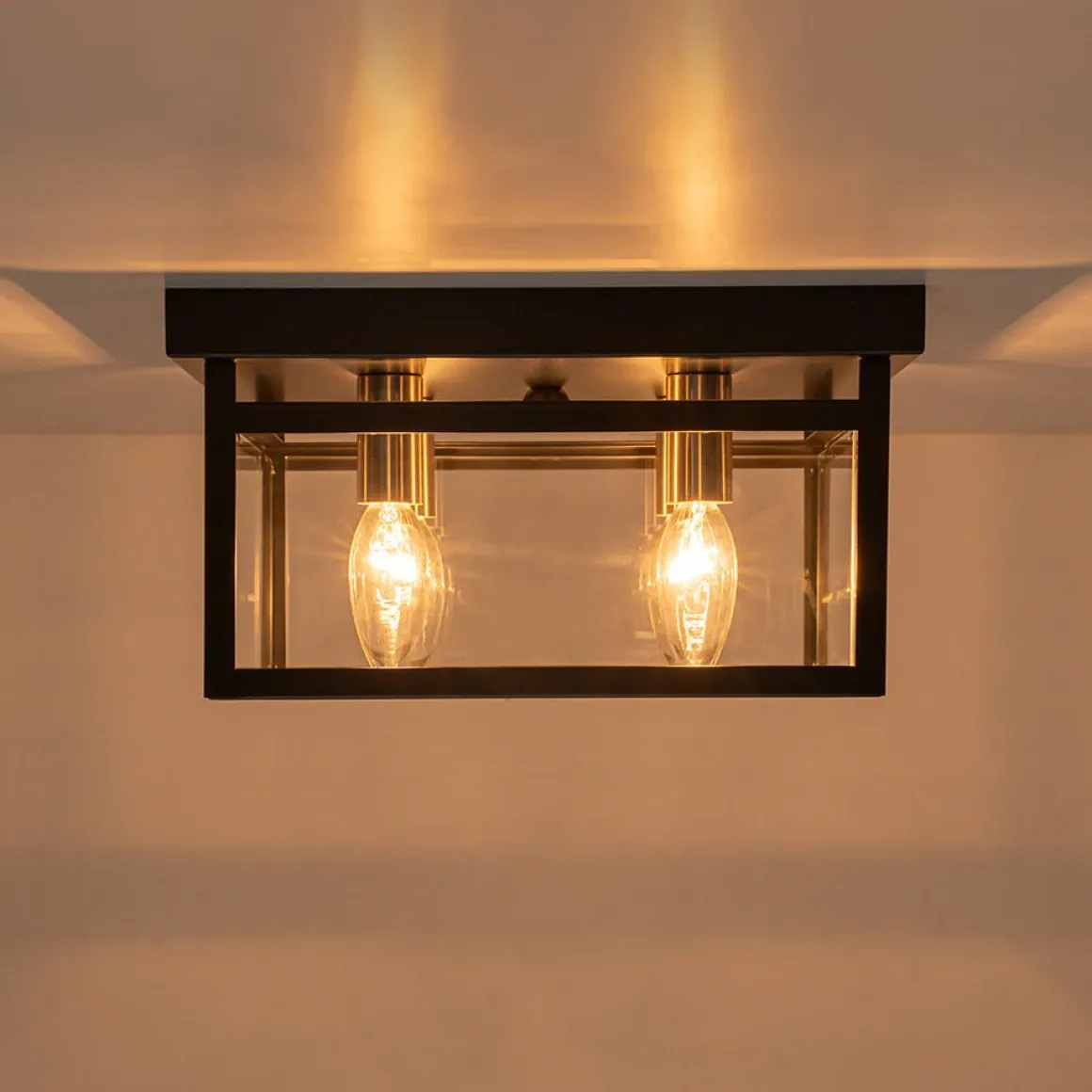 4-Light Clear Glass Black Square Cage Flush Mount Ceiling Light