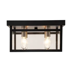 4-Light Clear Glass Black Square Cage Flush Mount Ceiling Light