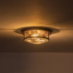 2-Light Seeded Glass Round Flush Mount Ceiling Light