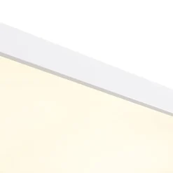 Minimalist Dimmable LED Rectangle Flush Mount Ceiling Light