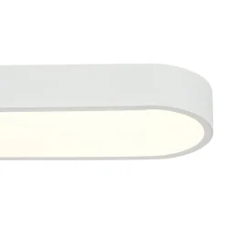 Minimalist Long Oval Dimmable LED Flush Mount Ceiling Light