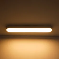 Minimalist Long Oval Dimmable LED Flush Mount Ceiling Light