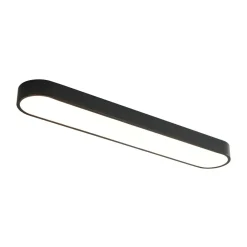 Minimalist Long Oval Dimmable LED Flush Mount Ceiling Light