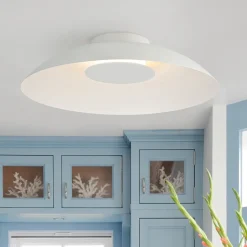 Minimalist Wide Flat Dome Dimmable LED Ceiling Light