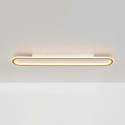 Minimalist Wood Grain Dimmable LED Oval Ring Ceiling Light