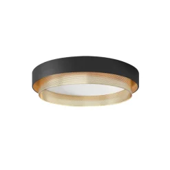 Modern LED Iron Mesh Circular Flush Mount Light