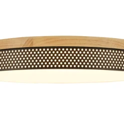 Rustic Black Mesh Wooden Dimmable LED Round Ceiling Light