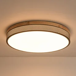 Rustic Black Mesh Wooden Dimmable LED Round Ceiling Light