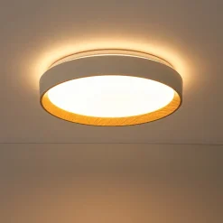 Scandinavian 5CCT Dimmable LED Round Flush Mount Light