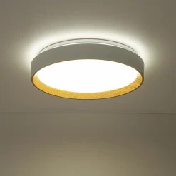 Scandinavian 5CCT Dimmable LED Round Flush Mount Light