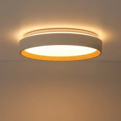 Scandinavian 5CCT Dimmable LED Round Flush Mount Light