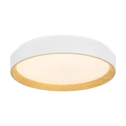 Scandinavian 5CCT Dimmable LED Round Flush Mount Light