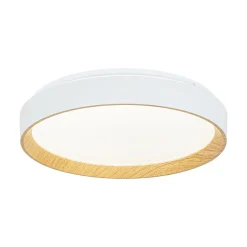 Scandinavian 5CCT Dimmable LED Round Flush Mount Light