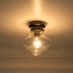 Schoolhouse 1-light Round Clear Glass Shade Semi Flush Mount