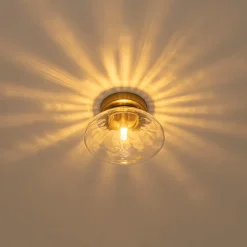 Versatile 1-Light Water Glass Oval Globe Semi Flush Wall Lamp